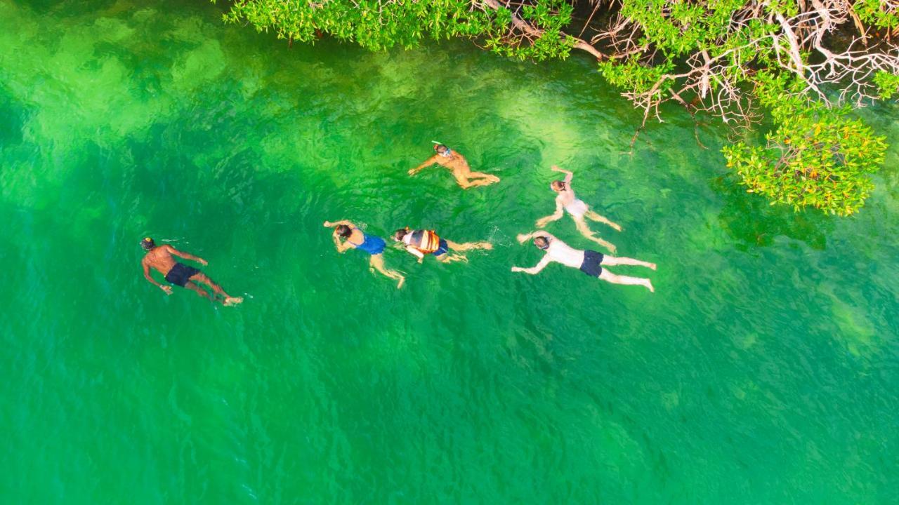 Santa Lova Eco-Hostel Isla Tintipan Tintipan Island Dış mekan fotoğraf